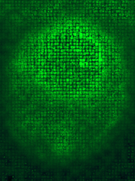 a photomosaic image of a yeast cell expressing a GFP-fusion to the ER resident protein Pho86 comprised of cell images from the entire database

created: A. Carroll
software: Mazaika
concept: J. Falvo, N. Dephoure